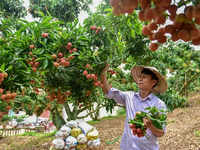 Enhancing trade activities through Vietnam trade agencies in foreign countries