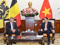 Foreign Minister receives leader of Belgium's Flanders region