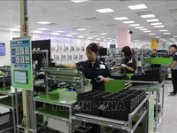 Vietnam - powerful magnet for foreign direct investment