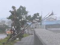 Bão Koinu gây thiệt hại tại Đài Loan (Trung Quốc)