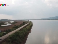 Dòng chảy sông Mekong thay đổi ảnh hưởng đến sản xuất nông nghiệp