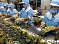 Great potential for Vietnamese goods to enter Africa, Middle East