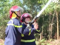 Quảng Ninh diễn tập phương án chữa cháy rừng