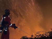 Sơ tán ít nhất 800 người do cháy rừng tại Tây Ban Nha