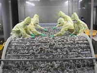 Vietnam aims to improve shrimp export competitiveness