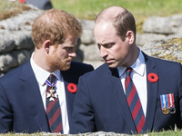 Hoàng tử Harry và William 'không có ý định hoà giải'