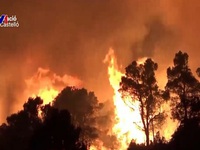 2023 - năm cháy rừng gây thương vong cao nhất