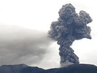 Núi lửa phun trào ở Indonesia khiến 11 nhà leo núi tử vong