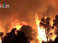 Cháy rừng nghiêm trọng tại Tây Ban Nha và Pháp