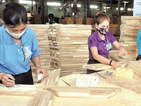 Doanh nghiệp ngành gỗ “ăn đong” từng đơn hàng