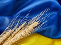 Ukraine chỉ trích EU và Ba Lan về các hạn chế xuất khẩu nông sản