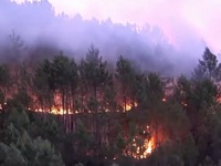 Cháy rừng vượt tầm kiểm soát ở Tây Ban Nha