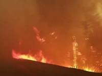 Tình trạng khẩn cấp do cháy rừng tại 1 thành phố của Canada