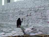 USAID tạm dừng viện trợ lương thực cho vùng Tigray của Ethiopia