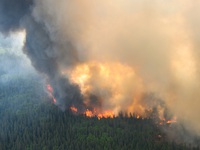Khói bụi cháy rừng tại Canada lan sang châu Âu