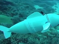 Robot cá giám sát đại dương