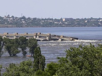5 tác động môi trường từ vụ vỡ đập Nova Kakhovka gây “thảm họa sinh thái”