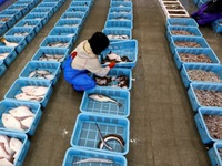 Hong Kong (Trung Quốc) cấm nhập hải sản Nhật Bản