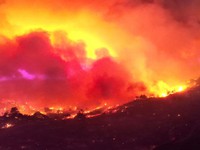 Hy Lạp: Cháy rừng trên đảo Rhodes, 2.000 người bao gồm cả khách du lịch sơ tán