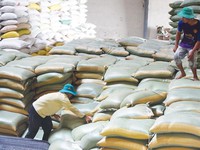Ấn Độ cấm xuất khẩu gạo, Bộ Công Thương khuyến cáo doanh nghiệp