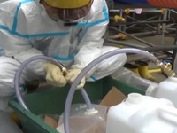 Hàn Quốc kiểm chứng về xả thải từ Fukushima