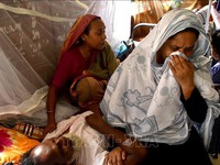 Dịch sốt xuất huyết lan rộng tại Bangladesh