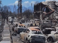 Thảm họa cháy rừng: Người dân Hawaii trở về giữa đống tro tàn