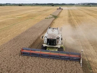 Ba Lan gia hạn lệnh cấm nhập khẩu ngũ cốc của Ukraine