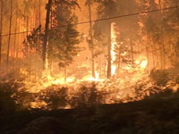 Tỉnh British Columbia (Canada) dỡ bỏ hầu hết hạn chế đi lại khi cháy rừng giảm bớt