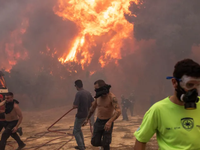 Lửa cháy rừng lan tới khu vực lân cận thủ đô Athens của Hy Lạp