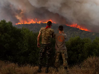 Hy Lạp bắt giữ hai người vì tội đốt phá dẫn tới nhiều vụ cháy rừng