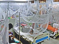 Số ca tử vong do sốt xuất huyết cao kỷ lục tại Bangladesh