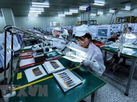 Vietnam remains stable destination for investors: Swiss fund