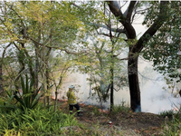 Hàng chục vụ cháy rừng bùng phát trong đợt nắng nóng mùa xuân ở Australia