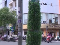 Quấn cỏ nhựa quanh cột điện chống dán quảng cáo