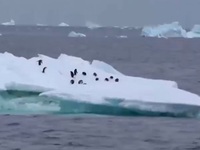 Băng tan kỷ lục ở Nam Cực