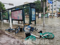 Trung Quốc: Hàng chục nghìn người sơ tán do bão Haikui