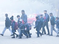 Sương mù dày đặc ảnh hưởng giao thông Ấn Độ