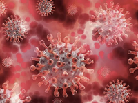WHO cảnh báo 'dịch bệnh X' có thể nguy hiểm gấp 20 lần so với COVID-19