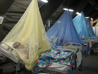 Peru ban bố tình trạng khẩn cấp vì sốt xuất huyết