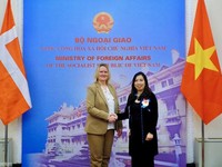 Foreign ministries of Vietnam, Denmark convene political consultation