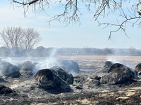Cháy rừng ở Texas diễn biến phức tạp, xuất hiện đám cháy mới