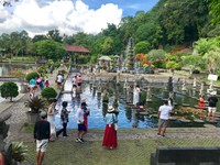 Indonesia khuyến cáo du khách đến đảo Bali cảnh giác với dịch sốt xuất huyết