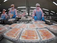 US releases preliminary conclusion on anti-subsidy probe into Vietnamese shrimp