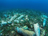 Báo động 11 triệu tấn rác thải nhựa đang nằm sâu dưới đáy đại dương