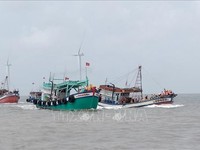Bac Lieu increases local fishermen's awareness of IUU fishing