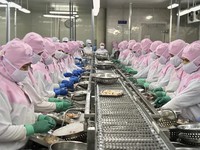 Vietshrimp 2024: Measures sought to recover shrimp industry