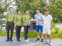 Cuc Phuong National Park rescues rare gibbon