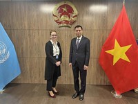 Vietnam supports UN’s humanitarian aid for Palestinians: Diplomat