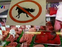 Thịt ngựa nhập khẩu từ châu Mỹ nhiễm kháng sinh liều cao
